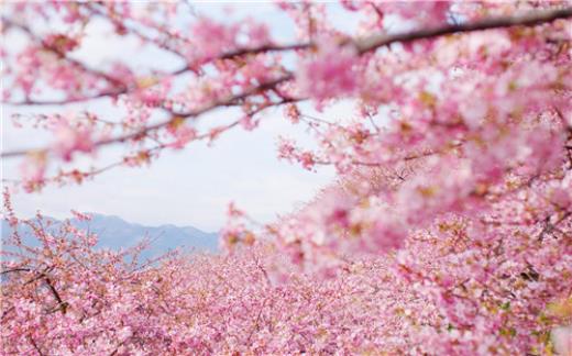 女人爱听花言巧语