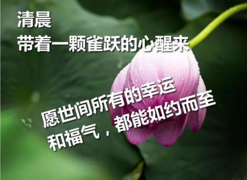 立春暖心简短文案