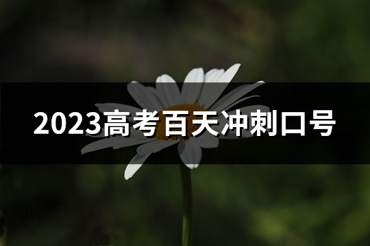 2023高考百天冲刺口号