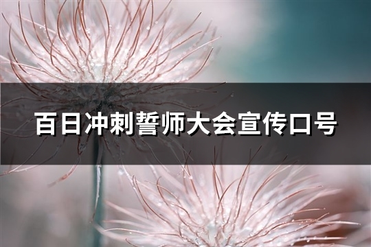 百日冲刺誓师大会宣传口号