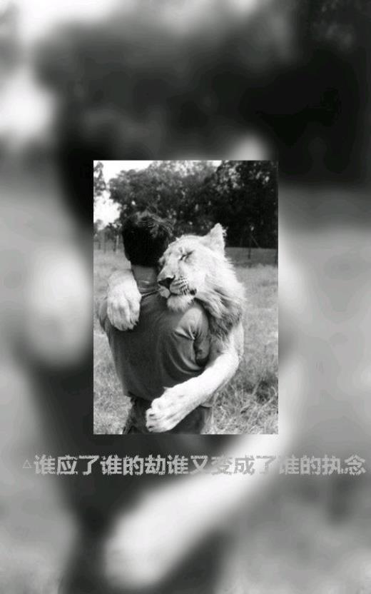 婚姻的经典语句